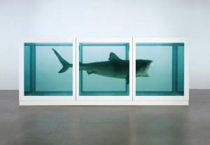 Taken from: http://www.damienhirst.com/the-physical-impossibility-of